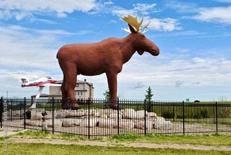 moose-jaw