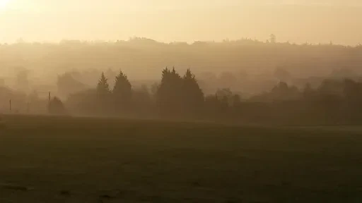 janice-arnold-golf-guru