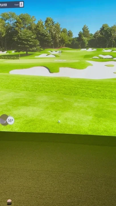 two-tees-indoor-golf