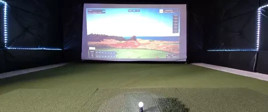 the-ballistic-birdie