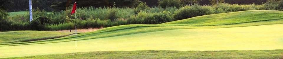 solitude-links-indoor-golf-simulator