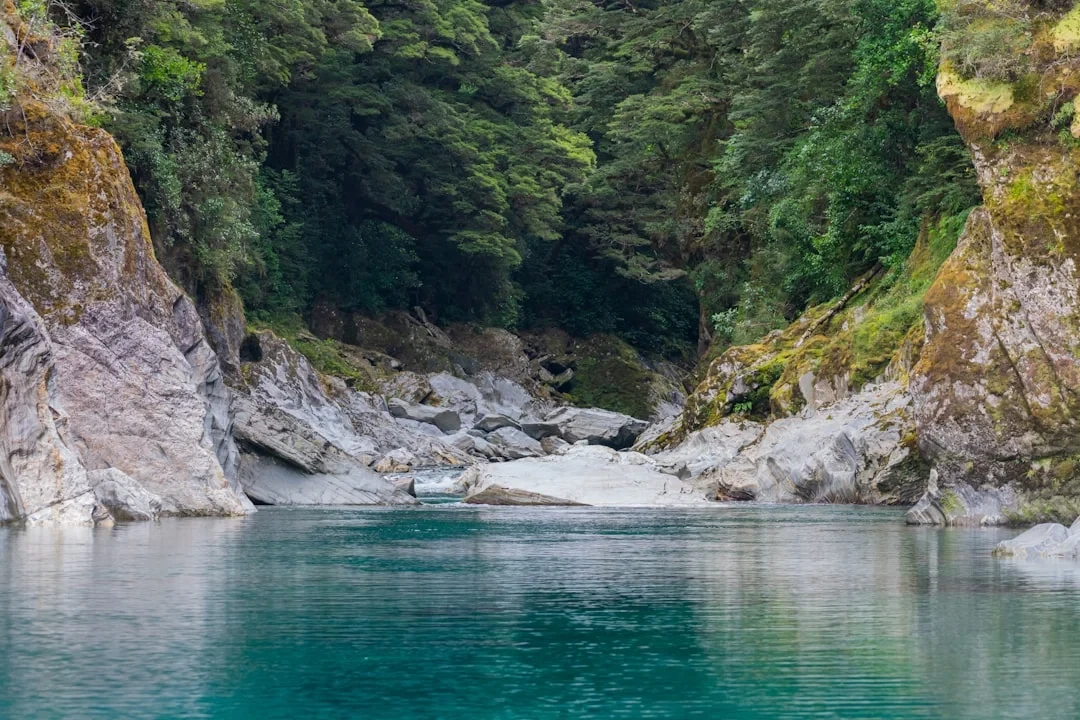 otago